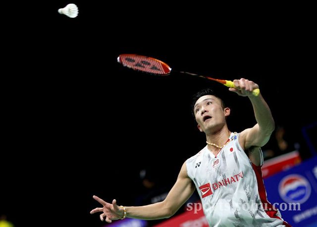 他的回归不 他的回归不